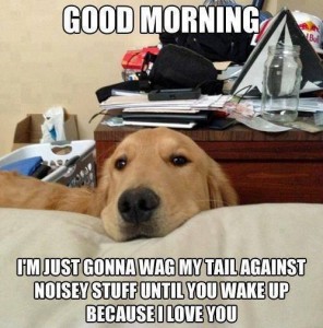 Wake Up!