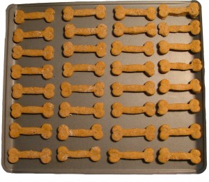 Best Dog Biscuit Recipes