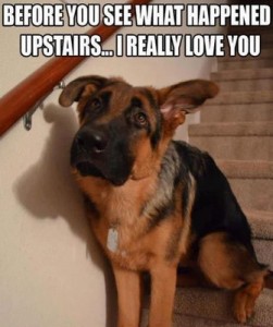 I really love you...