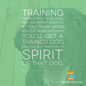 You will maintain the spirit of that dog
