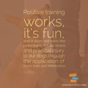 Positive training works