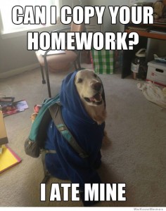 I ate my homework.