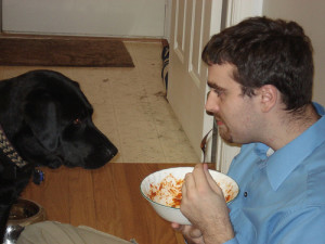 Keep that dog out of your food