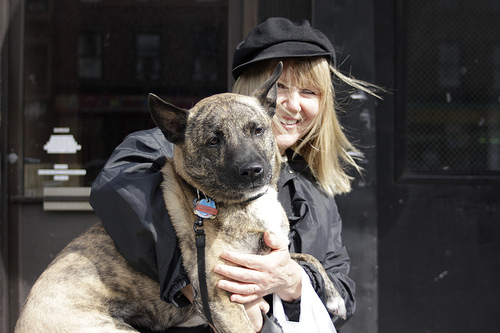 Dog carried by owner by WarmSleepy photo