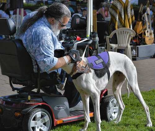 Man's Best Friend by swong95765 service dog photo
