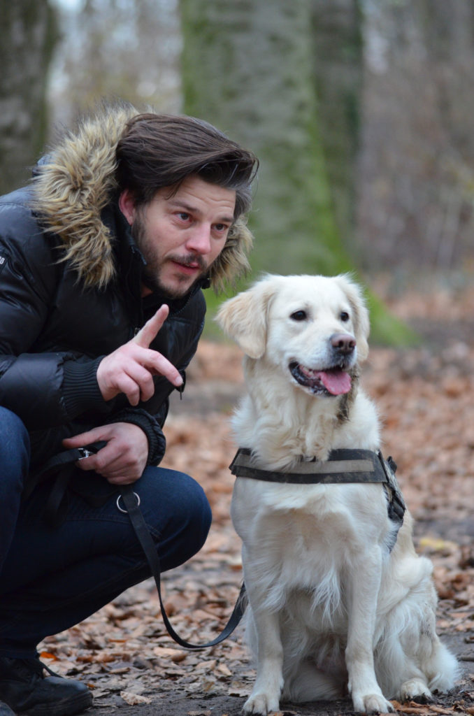 Dog is not distracted