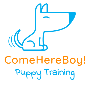 ComeHereBoy! Puppy Training